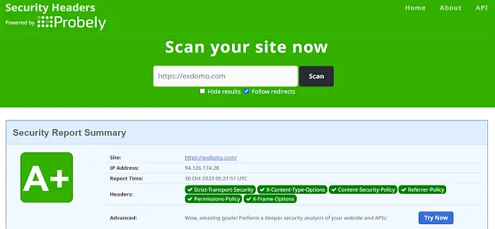 Scan your site for vulnerabilities